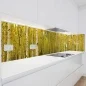 Preview: Küchenrückwand Platte Birkenwald Artikelbild 1