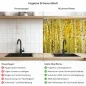 Preview: Küchenrückwand Platte Birkenwald Produktdetailbild 2: Hygiene und Gesundheit!