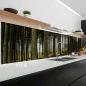 Preview: Küchenrückwand Platte Nadelwald im Lichtspiel der Natur Artikelbild 2