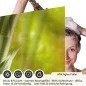 Preview: Sichtschutzfolie Dusche | Bambusstämme in Waldpanorama