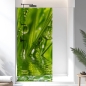 Preview: Sichtschutzfolie Dusche | Grashalme mit klaren Wasserperle