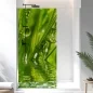 Preview: Sichtschutzfolie Dusche | Grashalme mit klaren Wasserperle