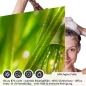 Preview: Sichtschutzfolie Dusche | Grashalme mit klaren Wasserperle