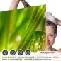 Preview: Sichtschutzfolie Dusche | Grashalme mit klaren Wasserperle