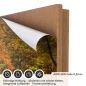 Preview: Türfolie Herbstliche Laubwald Straße AIRFLOW Folie