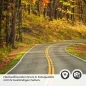 Preview: Türfolie Herbstliche Laubwald Straße Detailbild 2