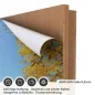 Preview: Türfolie Weg im herbstlichen Wald AIRFLOW Folie