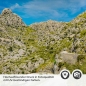 Preview: Türfolie Sardinien Straße Sa Calobra Detailbild 2