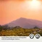 Preview: Türfolie Goldenes Bergpanorama Detailbild 2