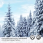 Preview: Türfolie Winterwald im Morgenlicht Detailbild 2