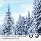 Preview: Türfolie Winterwald im Morgenlicht Detailbild 2