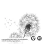 Preview: Türfolie Filigrane Pusteblumen Detailbild 2