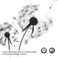 Preview: Türfolie Türfolie Zarte Pusteblumen Detailbild 2