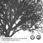 Preview: Türfolie Baum Silhouette Detailbild 2