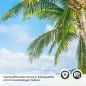 Preview: Türfolie Tropische Palmenbucht Detailbild 2