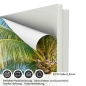 Preview: Türfolie Tropische Palmenbucht ECO Folie