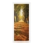 Preview: Türfolie herbstlicher Spaziergang Hauptbild 1
