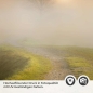 Preview: Türfolie morgentlicher Spaziergang Detailbild 2