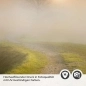 Preview: Türfolie morgentlicher Spaziergang Detailbild 2