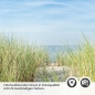Preview: Türfolie Weg zum Strand in der Ostsee Detailbild 2