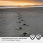 Preview: Türfolie Ostsee Strand Detailbild 2