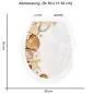 Preview: Wc-Deckel Aufkleber Shell & Starfish Variante 30 x 36 cm