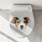 Preview: WC-Deckel Aufkleber Jack Russell Terrier Artikelbild 1