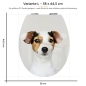 Preview: WC-Deckel Aufkleber Jack Russell Terrier Variante 38 x 44 cm