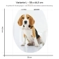 Preview: WC-Deckel Aufkleber Beagle Doggy Variante 38 x 44 cm