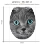Preview: WC-Deckel Aufkleber graue Katze mit blauen Augen Variante 38 x 44 cm