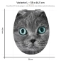 Preview: WC-Deckel Aufkleber graue Katze mit blauen Augen Variante 38 x 44 cm