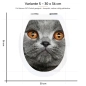 Preview: WC-Deckel Aufkleber graue Katze mit orangenen Augen Variante 30 x 36 cm