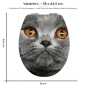 Preview: WC-Deckel Aufkleber graue Katze mit orangenen Augen Variante 38 x 44 cm