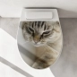 Preview: WC-Deckel Aufkleber Tabby Katze Artikelbild 1