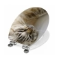 Preview: WC-Deckel Aufkleber Tabby Katze Artikelbild 2