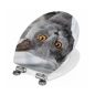 Preview: WC-Deckel Aufkleber britische Katze Artikelbild 2