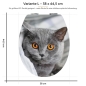 Preview: WC-Deckel Aufkleber britische Katze Variante 38 x 44 cm