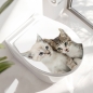 Preview: WC-Deckel Aufkleber Kittys Hauptbild