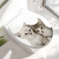 Preview: WC-Deckel Aufkleber Kittys Hauptbild
