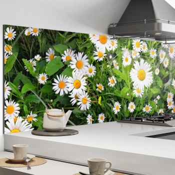 Küchenrückwand Aluverbund Blumen und Kamille Bild 1