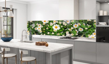 Küchenrückwand Aluverbund Blumen und Kamille Bild 3