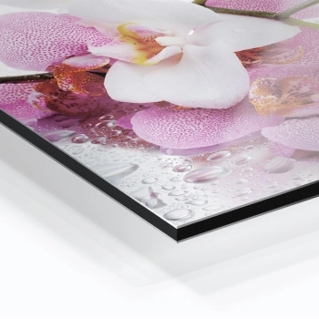 Küchenrückwand Aluverbund lila rosa Orchideen Bild 2