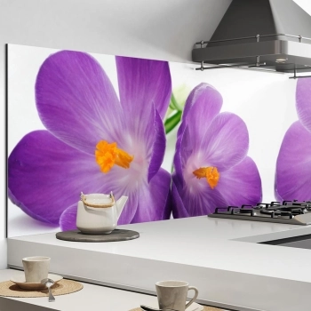Küchenrückwand Aluverbund Mohnblume lila Bild 1