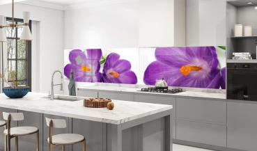 Küchenrückwand Aluverbund Mohnblume lila Bild 3
