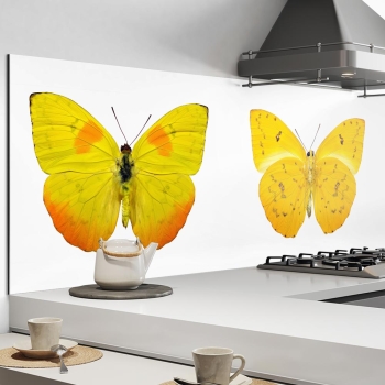 Küchenrückwand Aluverbund Schmetterling gelb Bild 1