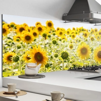 Küchenrückwand Aluverbund Sonnenblumenfeld