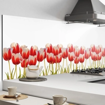 Küchenrückwand Aluverbund Tulpen Pflanzen Bild 1