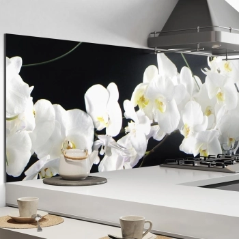 Küchenrückwand Aluverbund weisse Orchidee