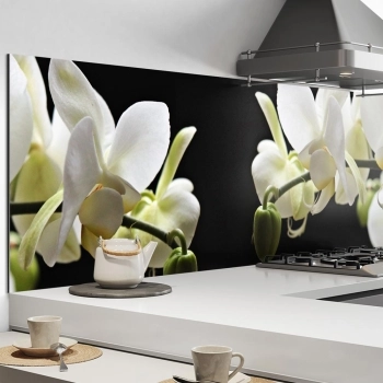 Küchenrückwand Aluverbund weisse Orchideen