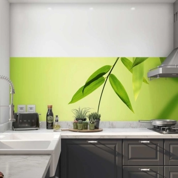 Küchenrückwand Folie Bambus grün
